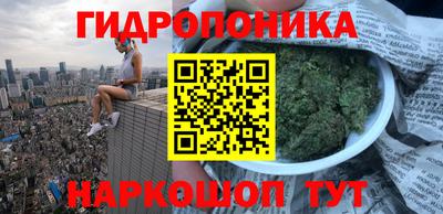 мдпв Партизанск