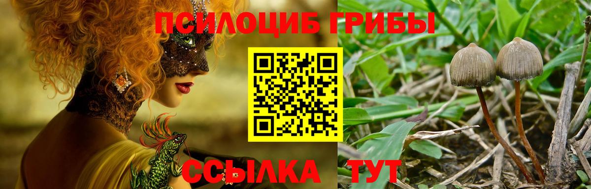 Галлюциногенные грибы Magic Shrooms Камышин