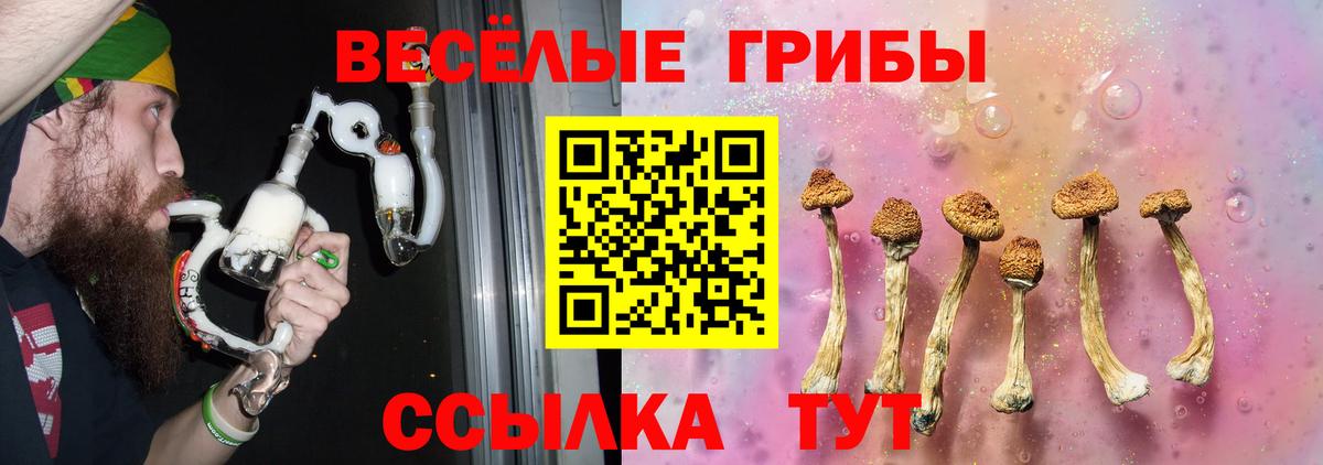 Псилоцибиновые грибы Psilocybe  Вход с VPN  Камышин 