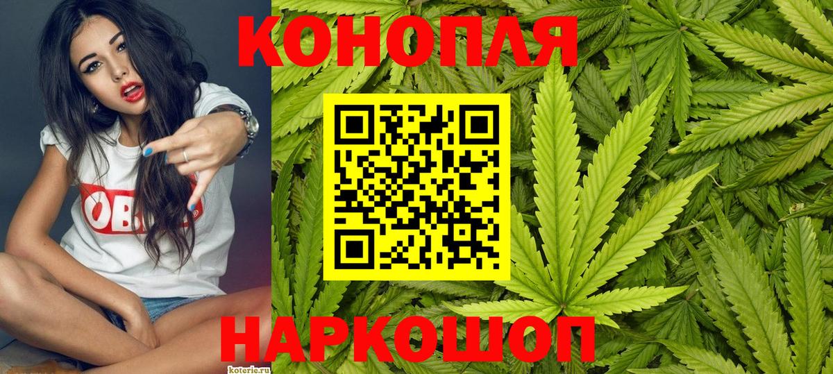Каннабис конопля Камышин